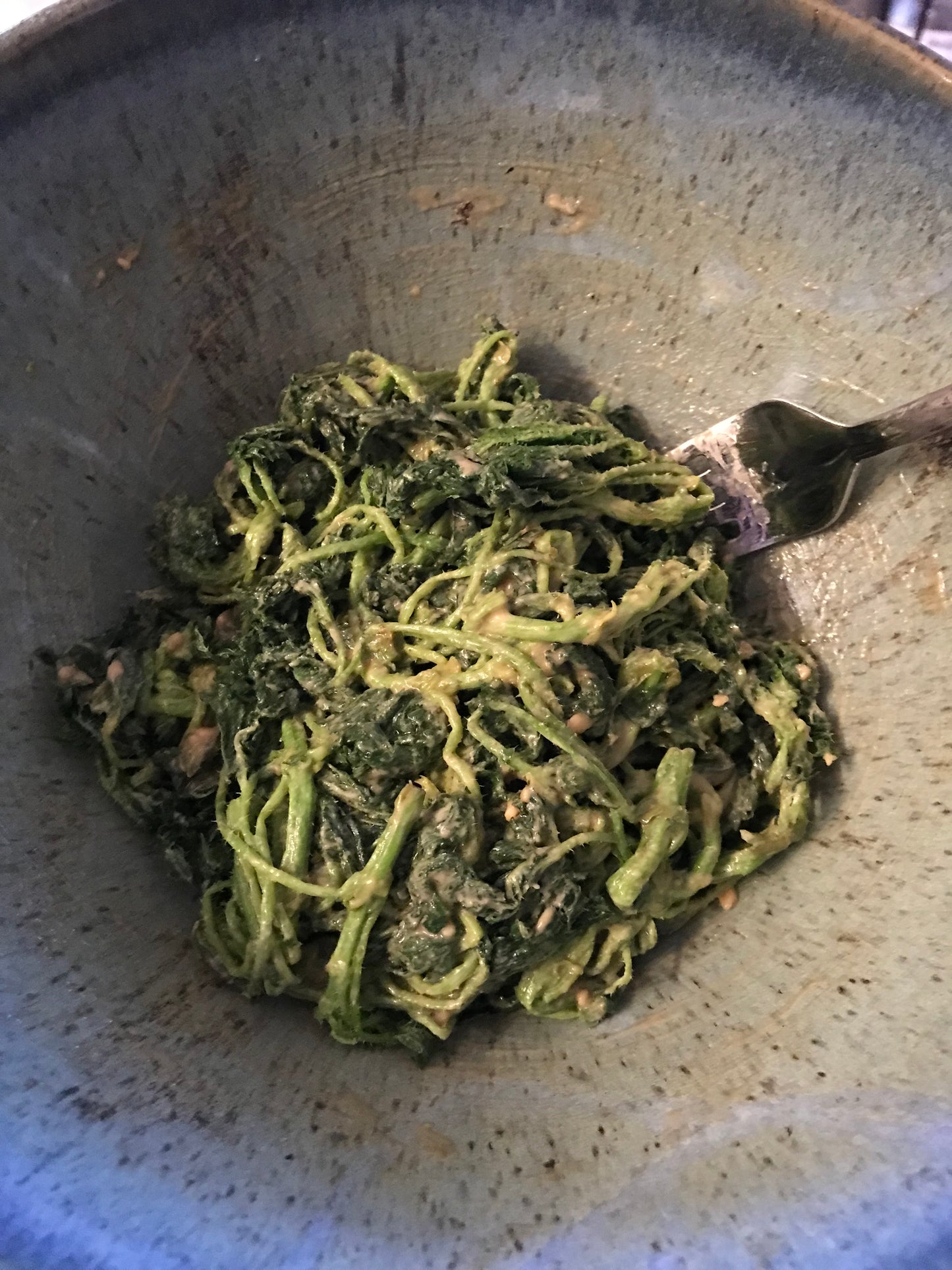 Stinging Nettle Seeds - Urtica dioica - Common Nettle, tth’uxtth’ux