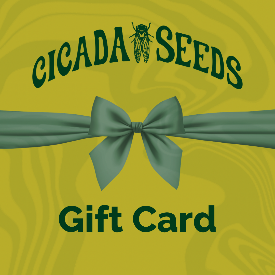 Cicada Seeds Gift Card