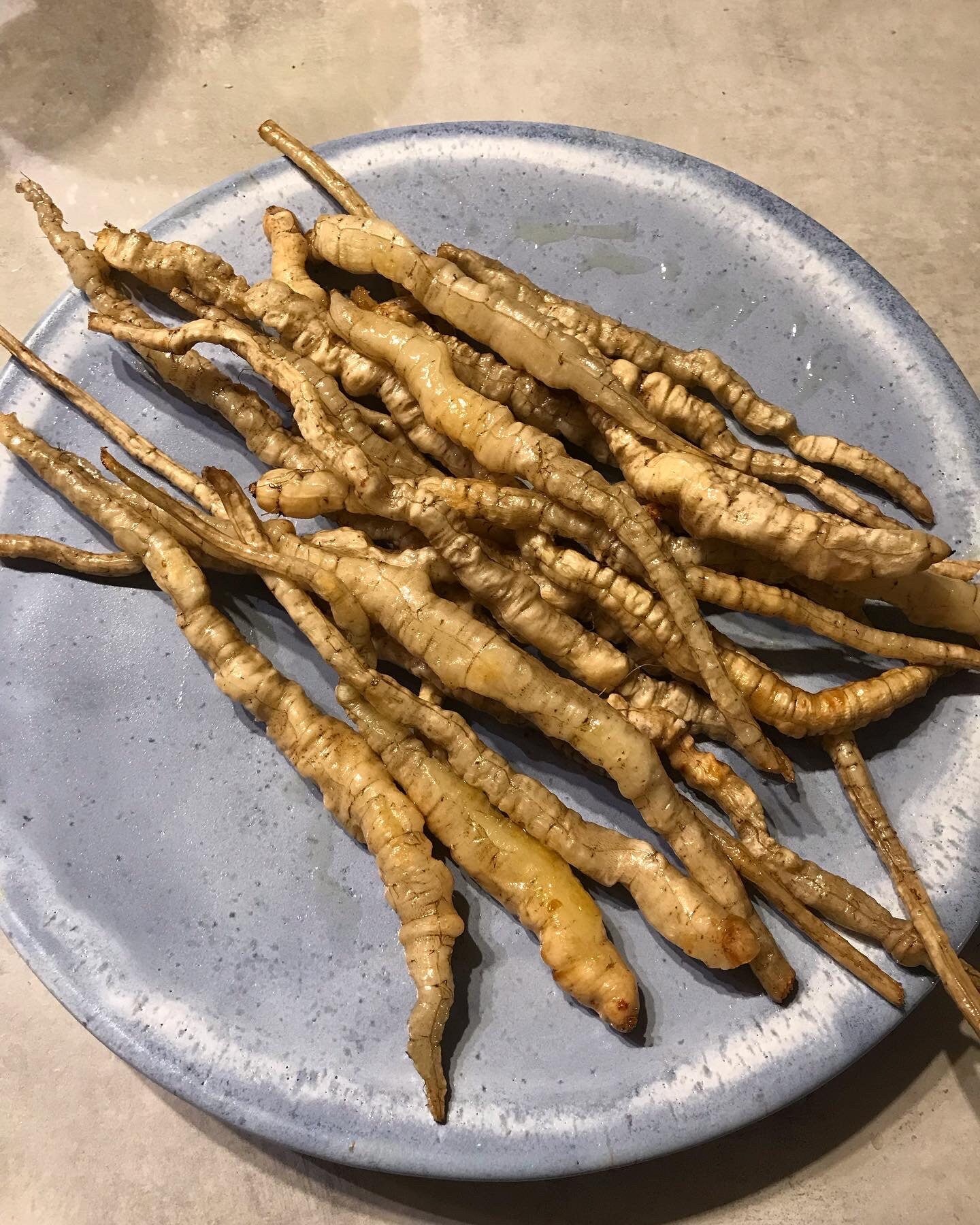Roasted skirret roots