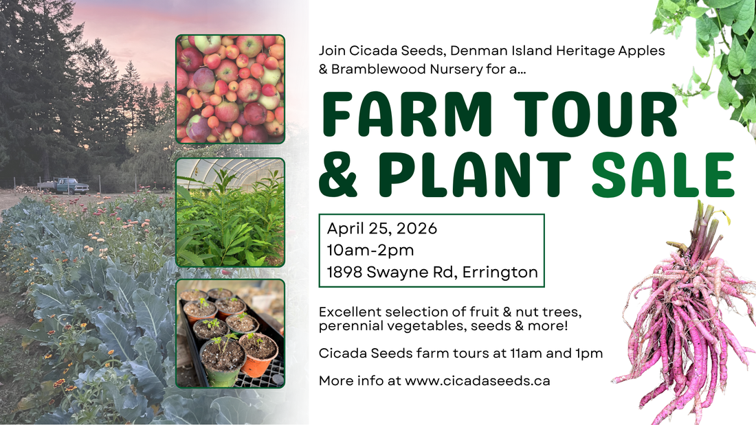 April 25, 2026: Farm Tour & Plant Sale at Cicada Seeds in Errington