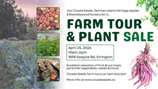 April 25, 2026: Farm Tour & Plant Sale at Cicada Seeds in Errington
