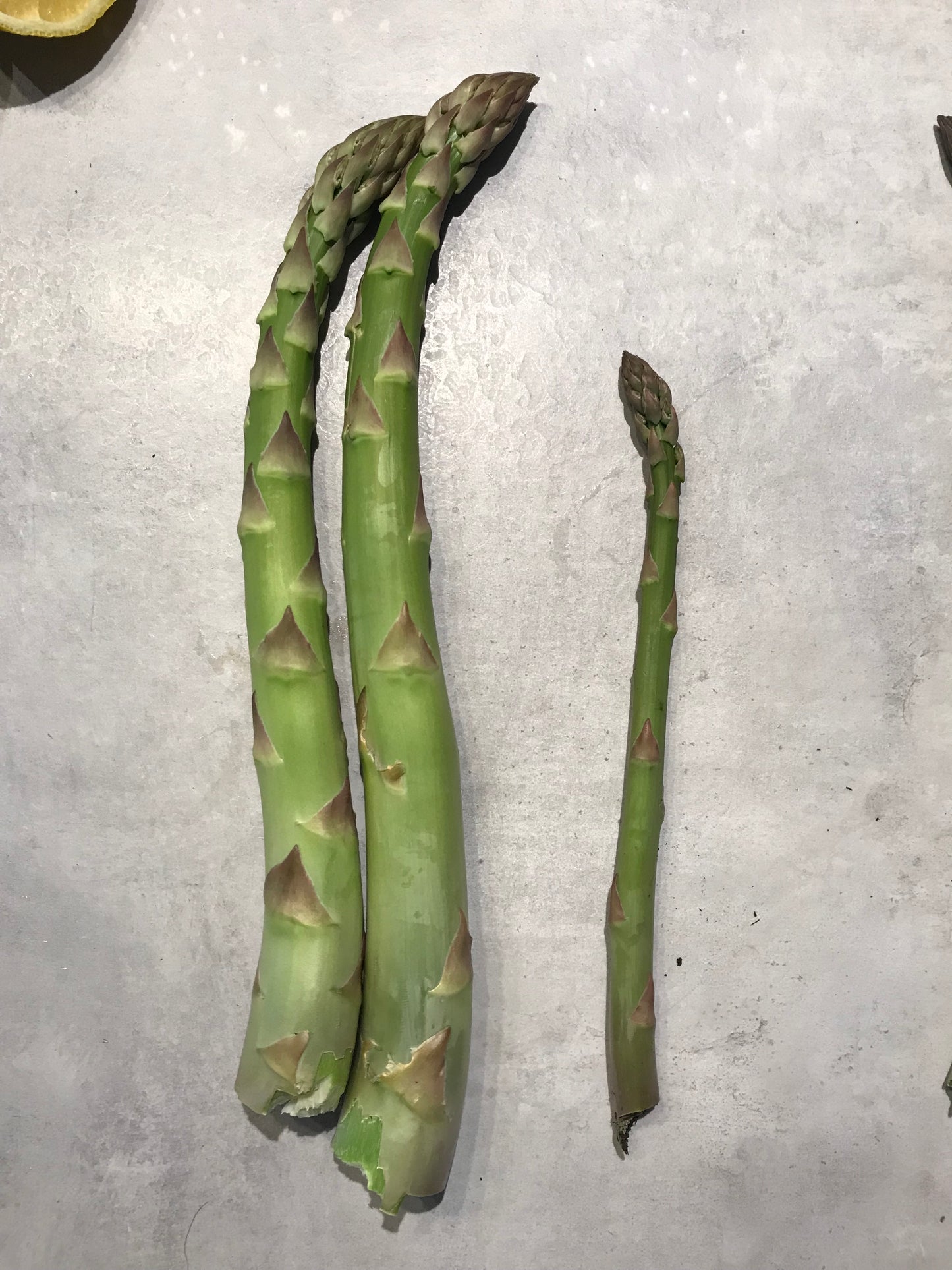 Asparagus Mix Seeds - Asparagus officinalis