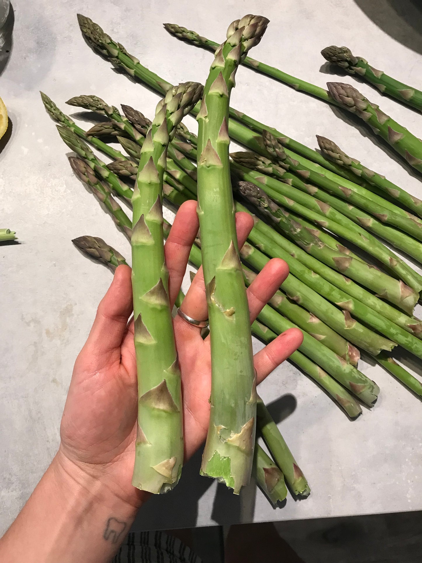 Asparagus Mix Seeds - Asparagus officinalis