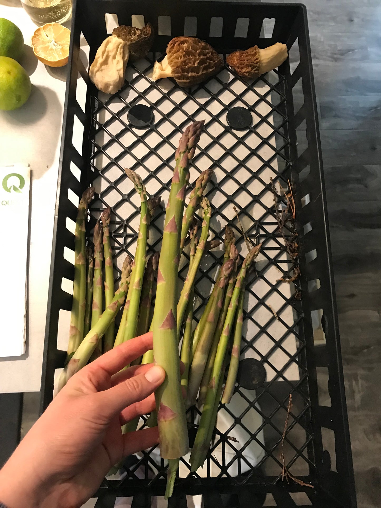 Asparagus Mix Seeds - Asparagus officinalis