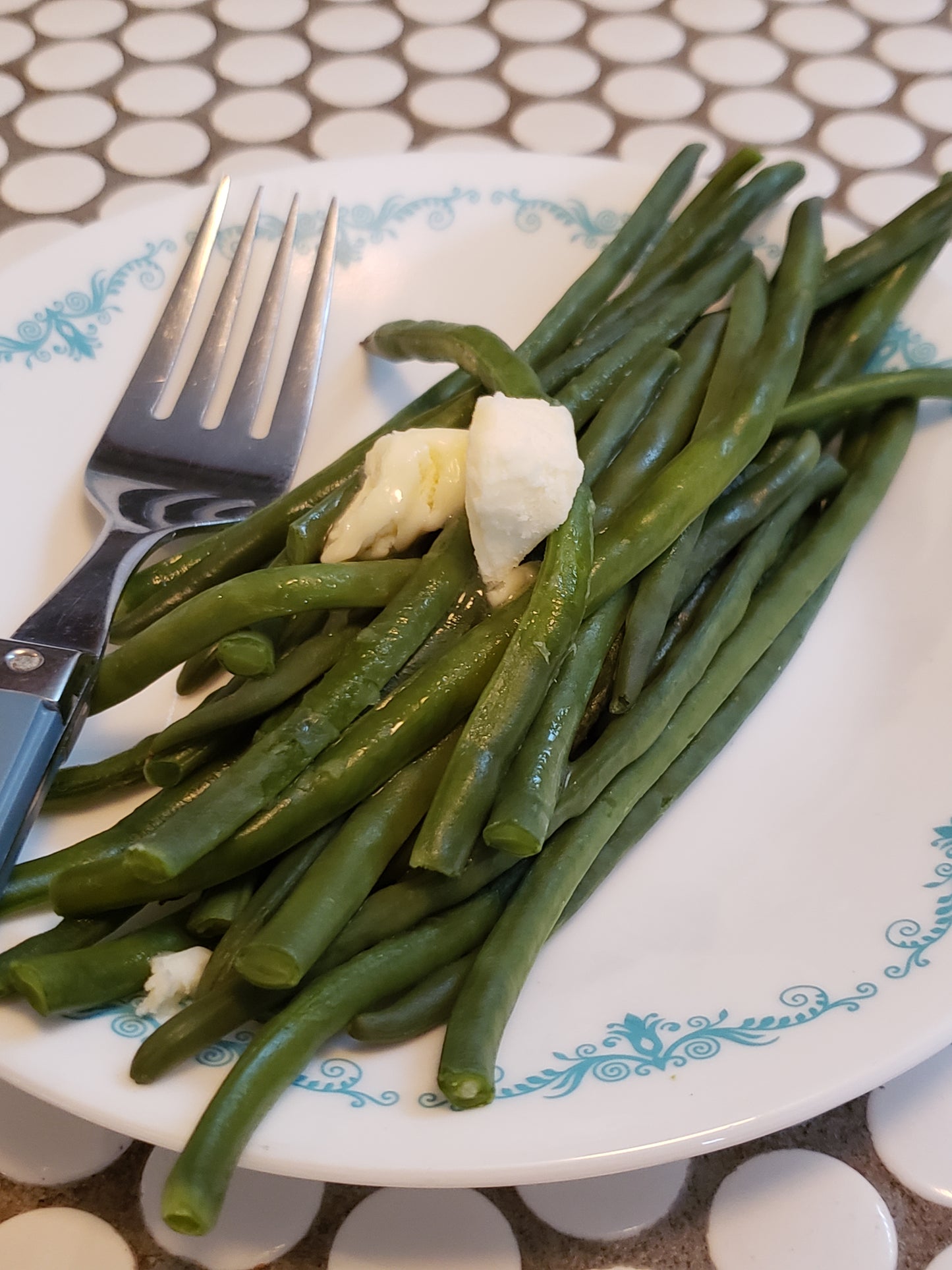 Fast Lady Northern Southern Cow Pea Seeds - Vigna unguiculata