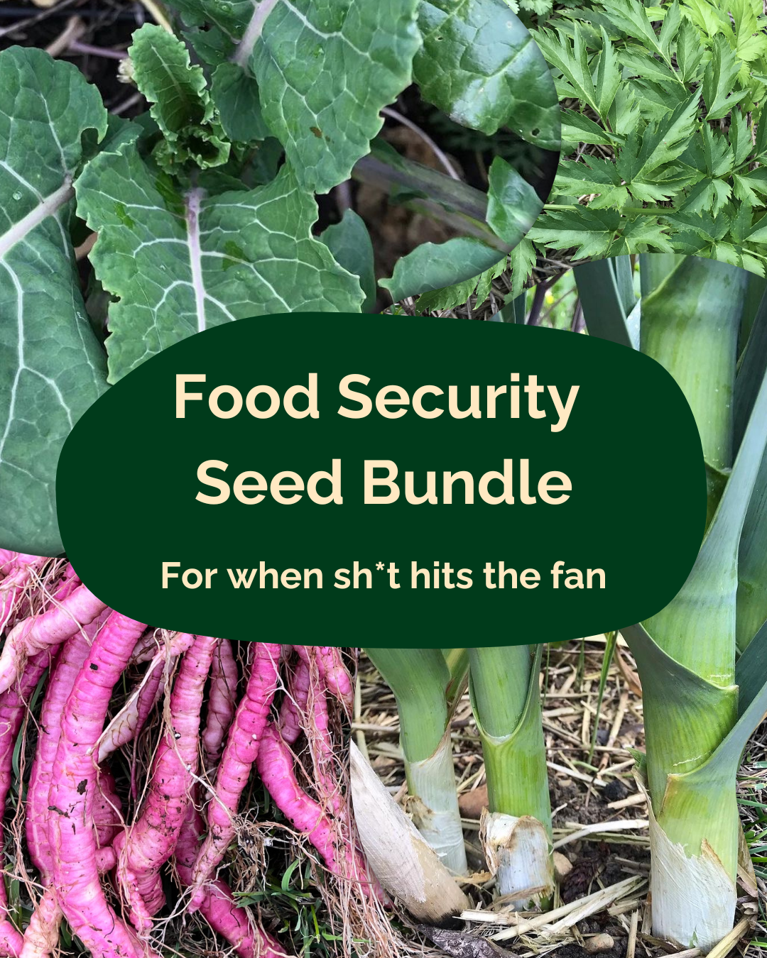 Food Security Bundle - Survival Seed Bundle, Apocalypse Garden Bundle, Self-Reliant Seed Bundle