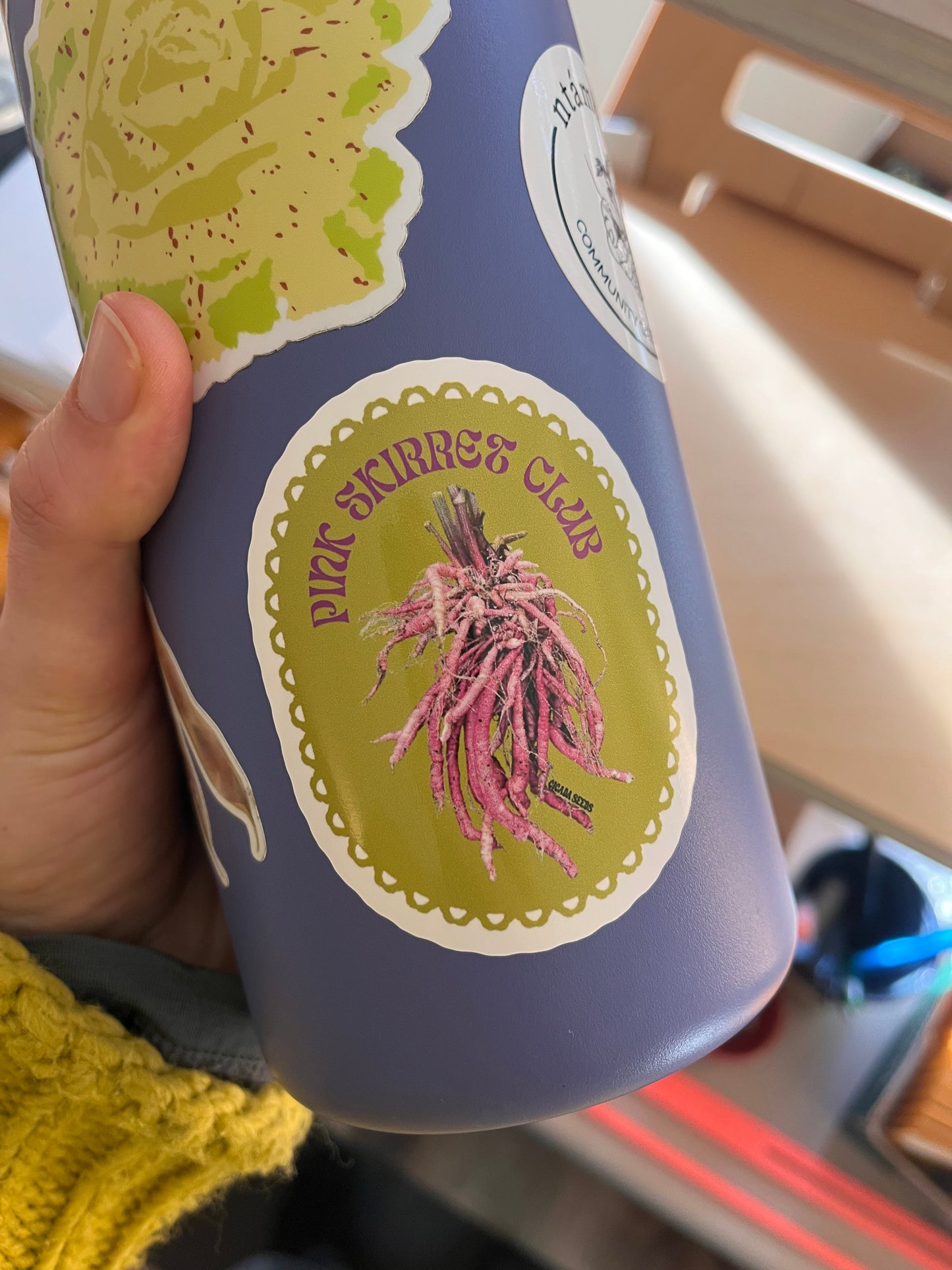 Cicada Seeds Stickers