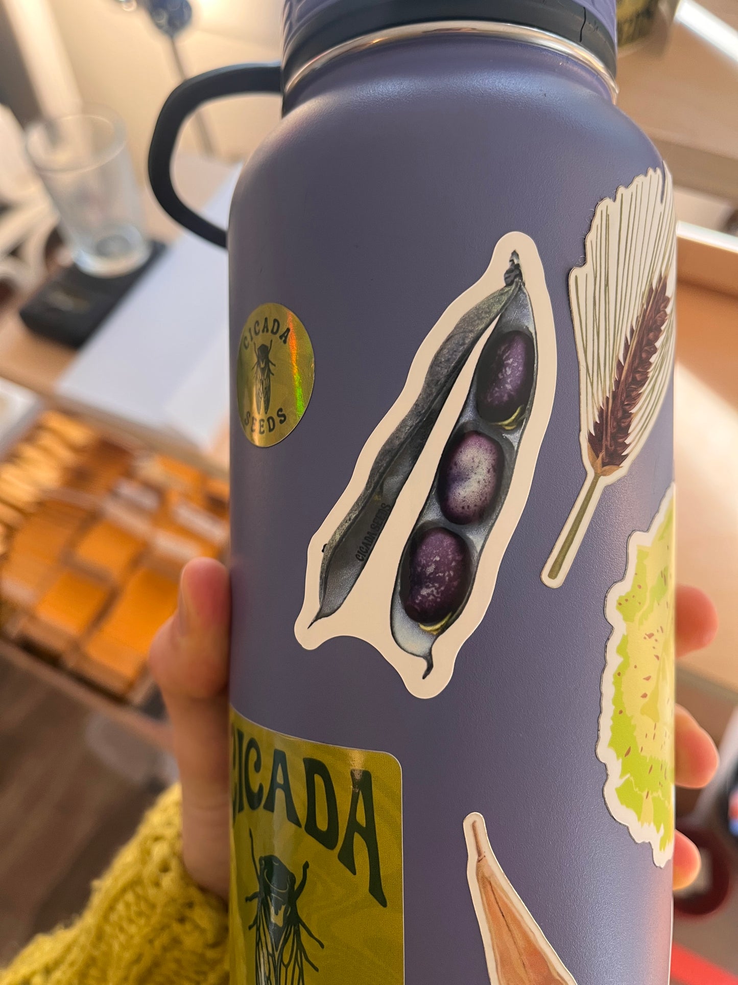 Cicada Seeds Stickers