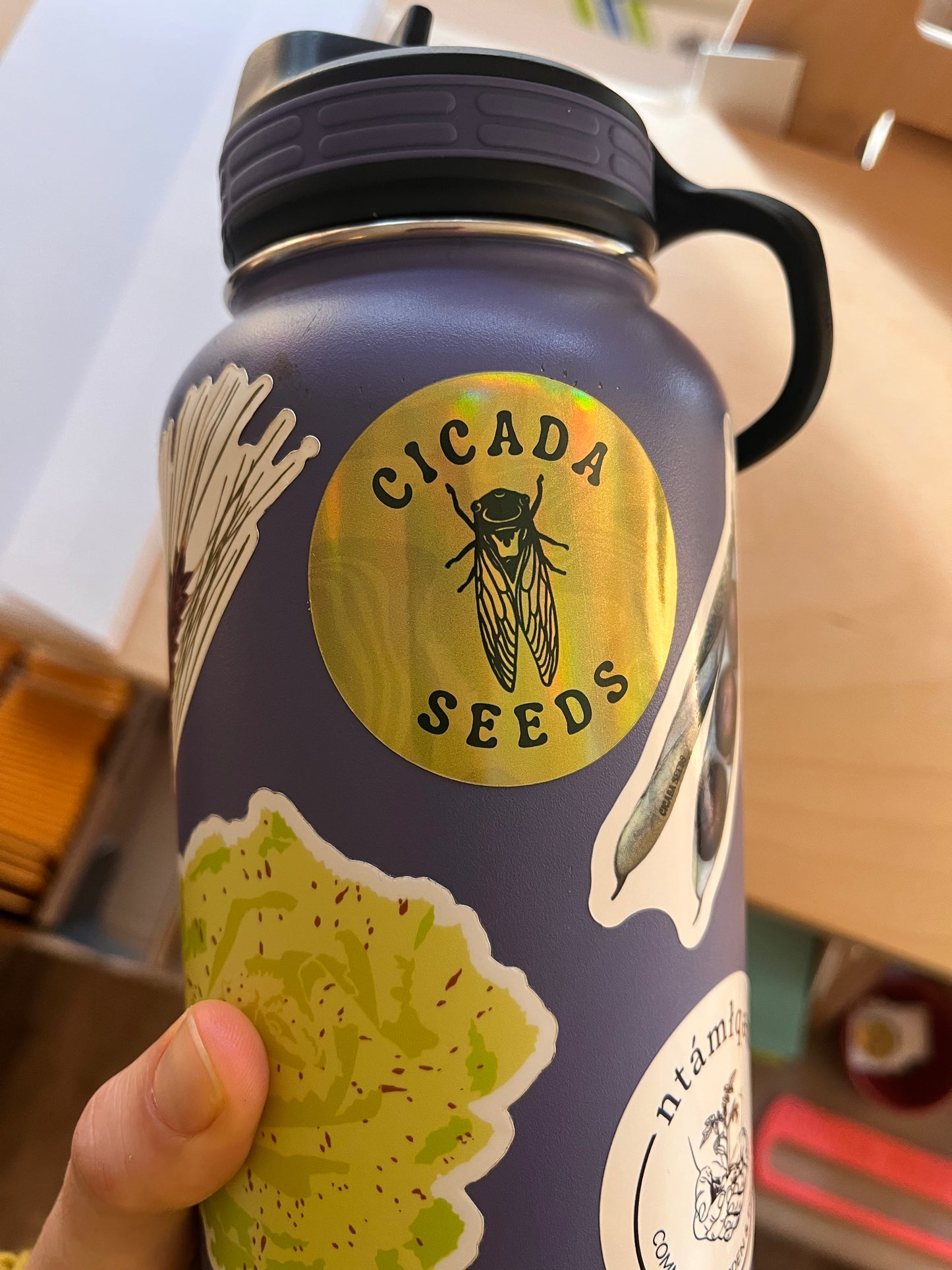 Cicada Seeds Stickers