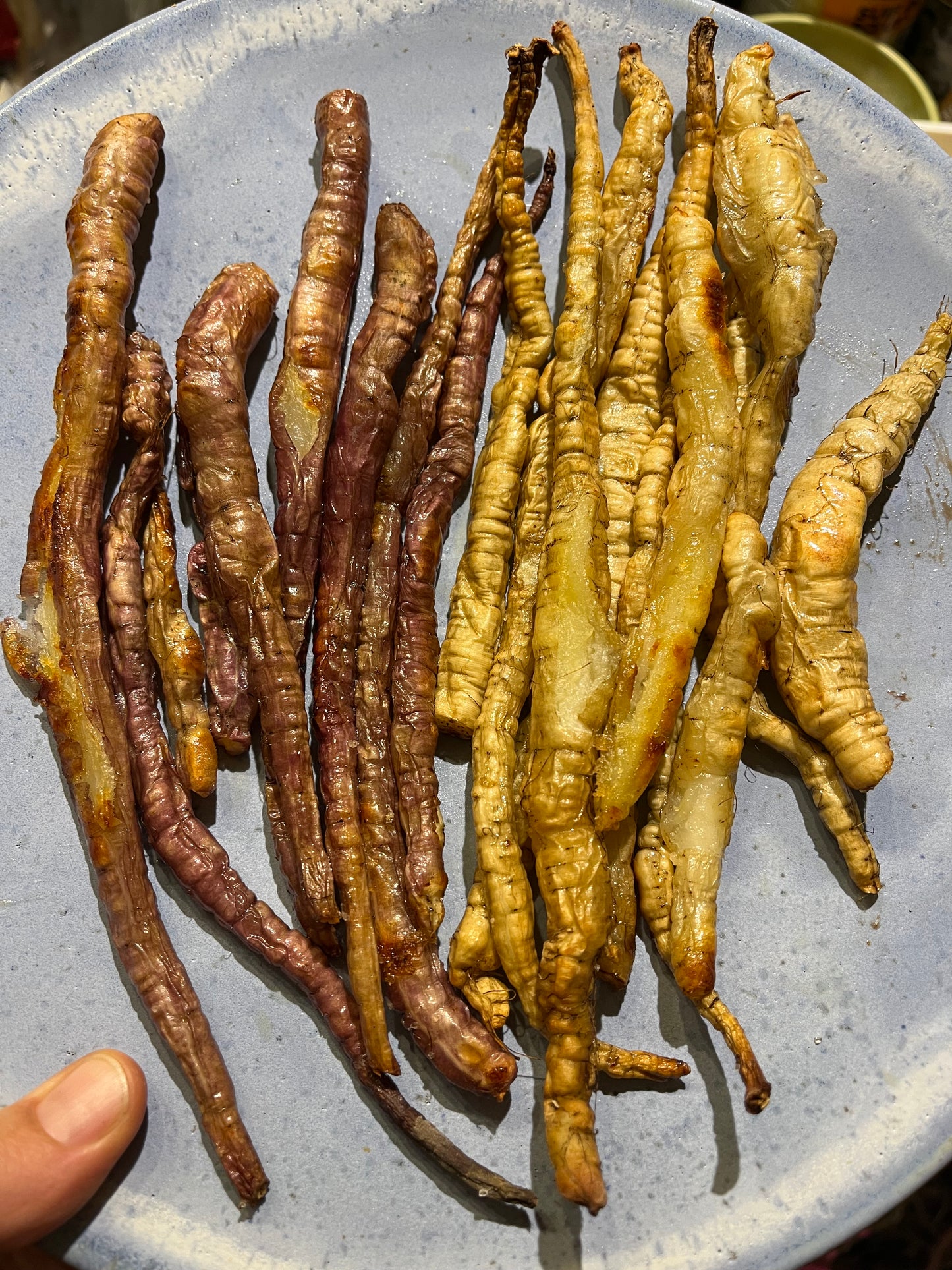 Pink Skirret Mix Seeds - Sium sisarum - Sugar Root