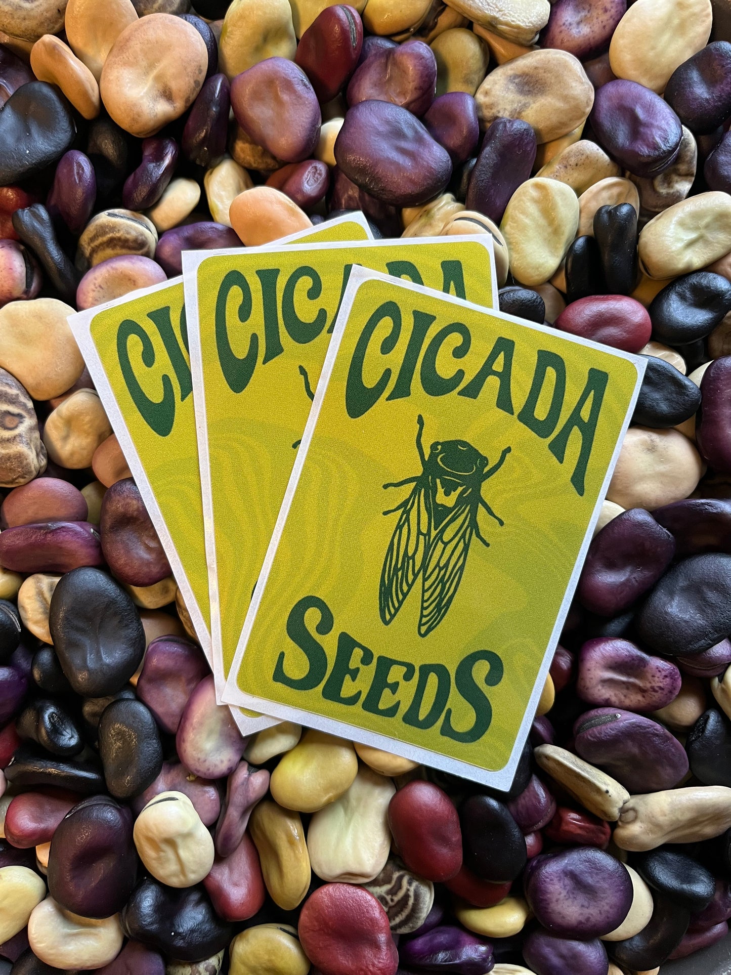 Cicada Seeds Stickers