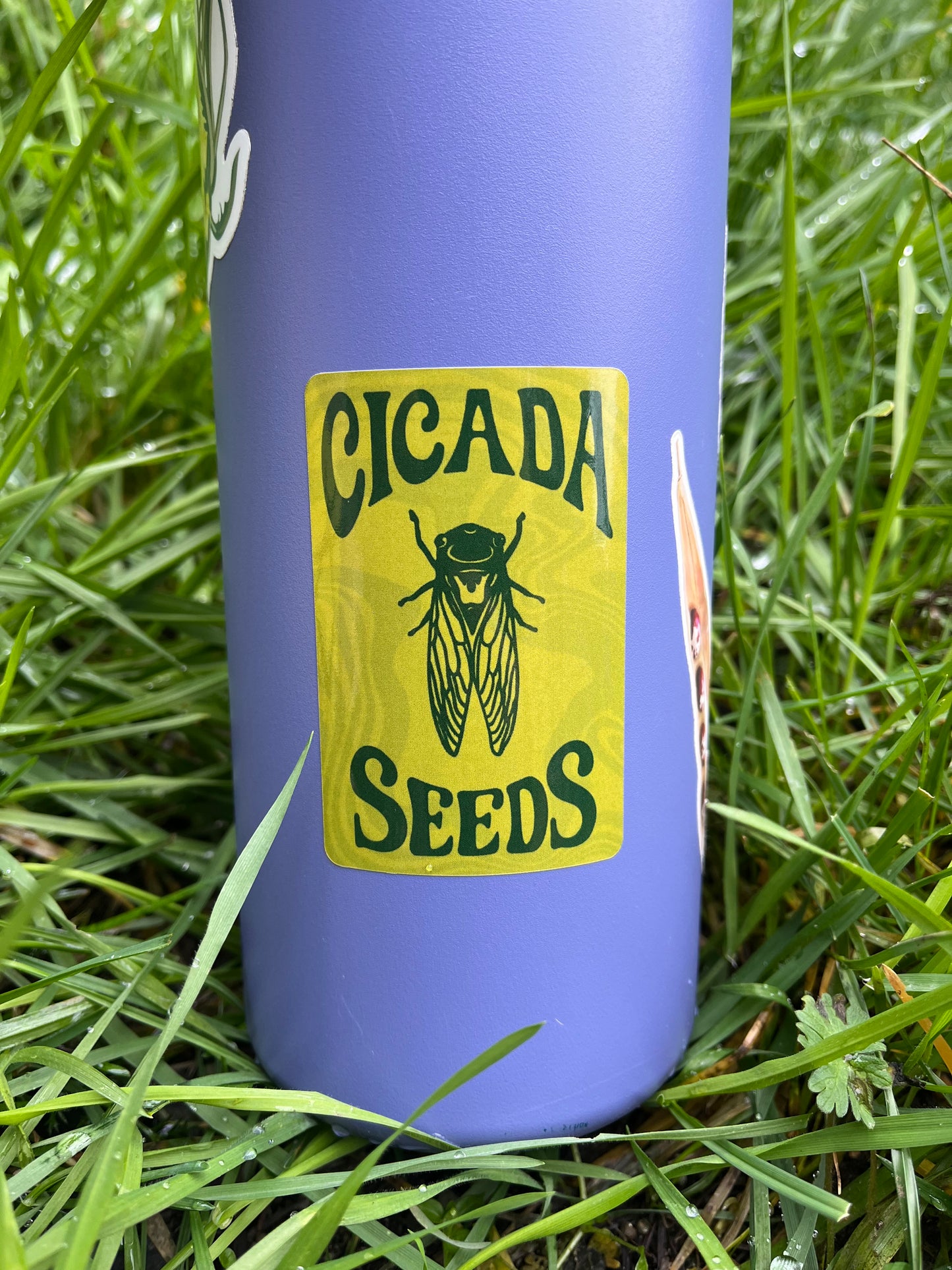 Cicada Seeds Stickers