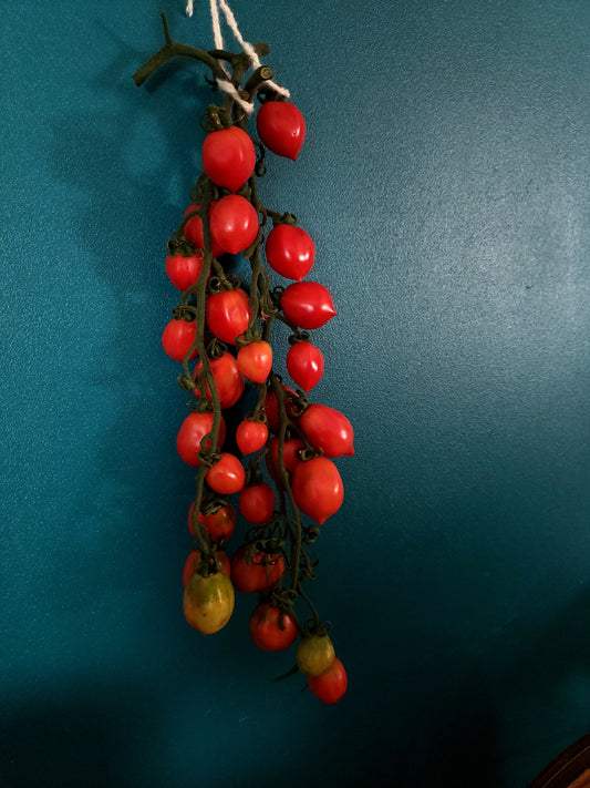 Piennolo Rosso Winter Tomato Seeds - Solanum lycopersicum - Italian Storage Tomato