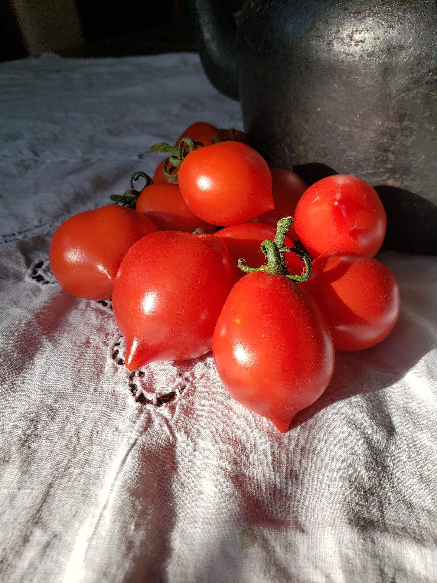 Piennolo Rosso Winter Tomato Seeds - Solanum lycopersicum - Italian Storage Tomato